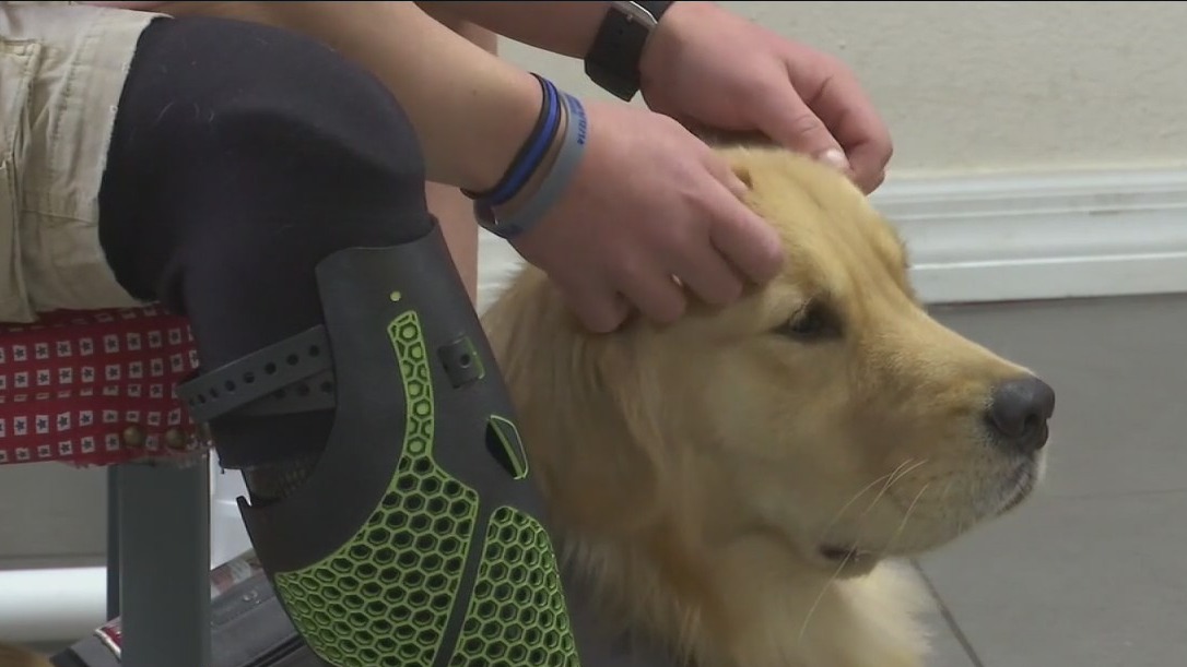 Non-profit provides service dogs for combat-wounded veterans, first responders